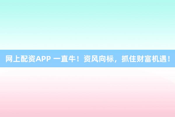 网上配资APP 一直牛！资风向标，抓住财富机遇！
