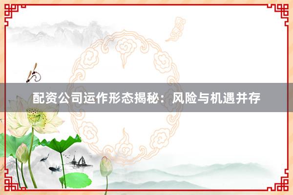 配资公司运作形态揭秘：风险与机遇并存