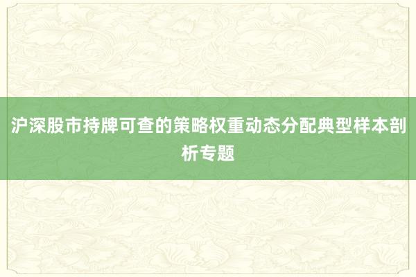 沪深股市持牌可查的策略权重动态分配典型样本剖析专题
